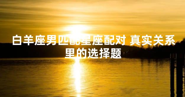 白羊座男匹配星座配对 真实关系里的选择题
